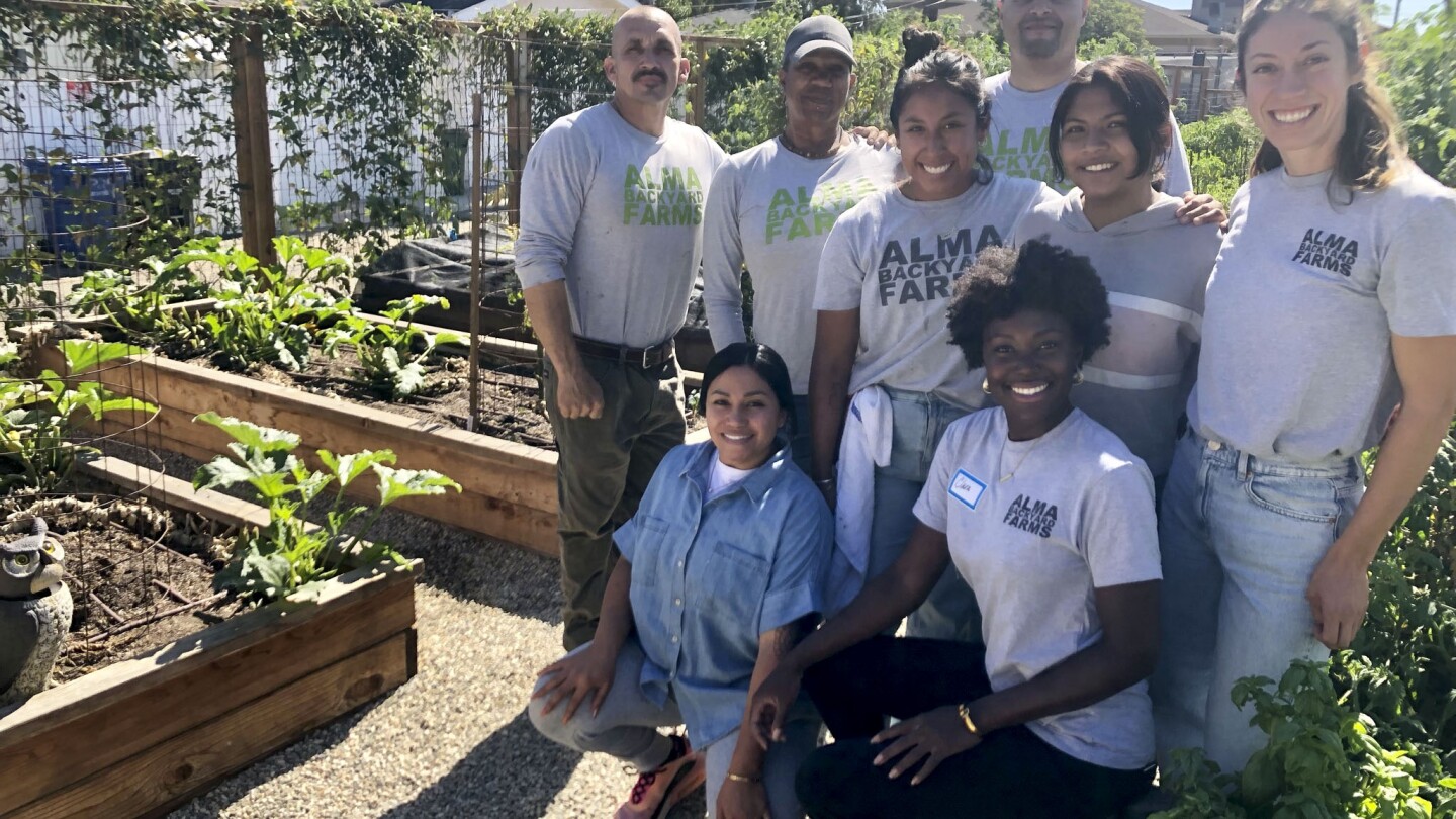 A group of people wearing shirts that read, "Alma Backyard Farms" pose for a picture. There are eight people posed in three rows. Two women are kneeling at the front, five people stand behind them and a taller man stands behind the whole group in a third row by himself. The group is surrounded by gardening beds filled with various leafy, green produce.