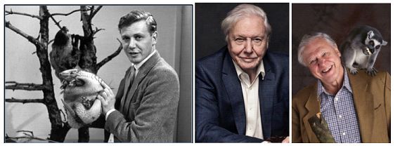 Attenborough documentaries press image