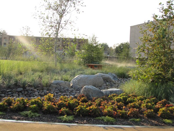 marshpark11