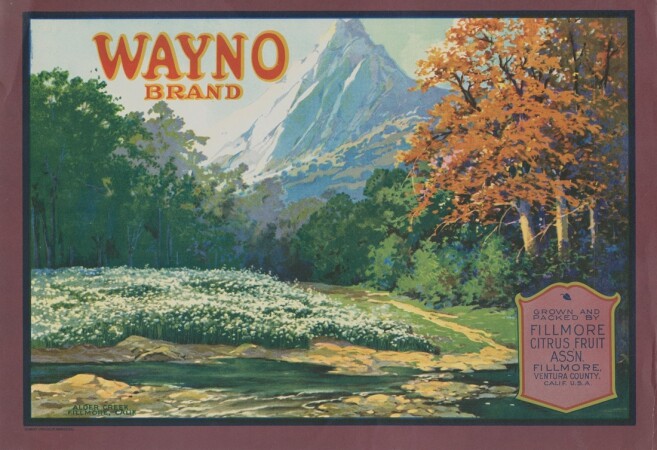 wayno