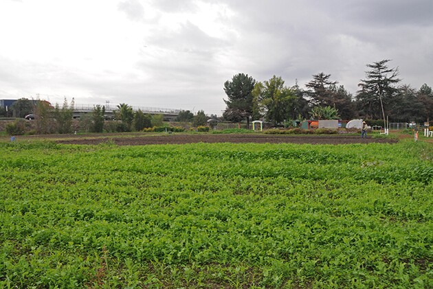 Earthworks Farm with the 60 Freeway on ramp on the top left