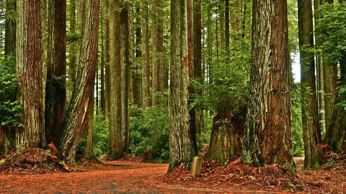 florence keller park
