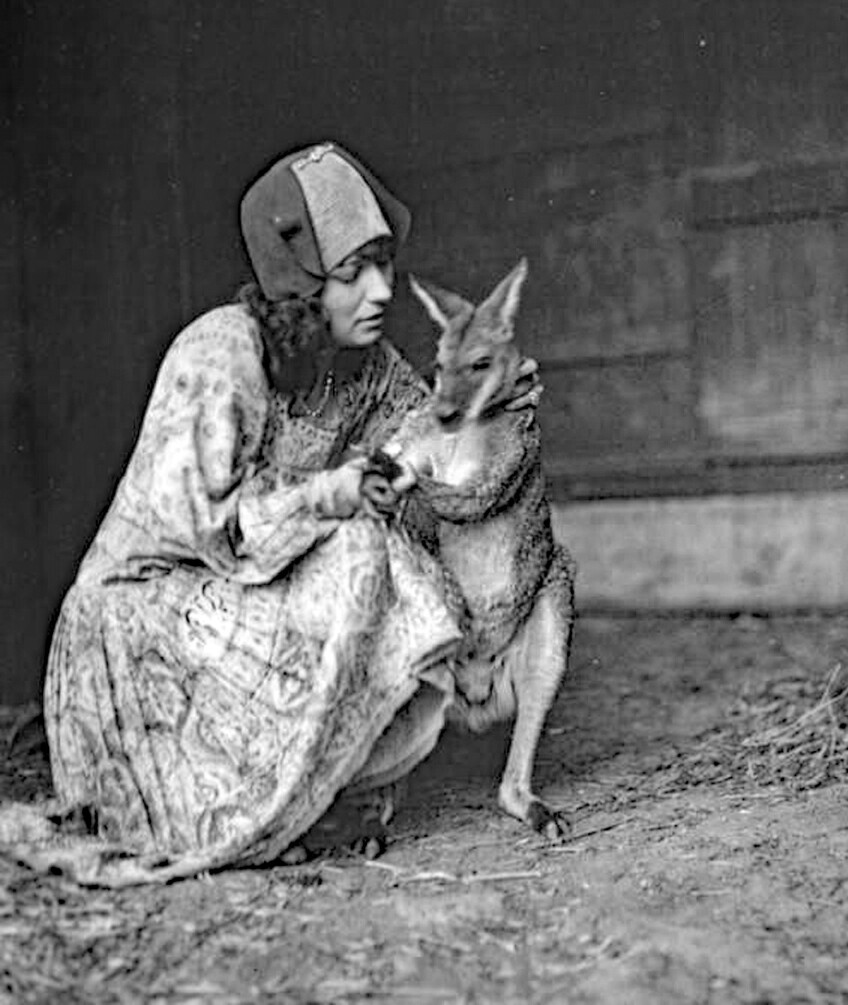 A black and white photo of a young woman crouched next to a kangaroo, with one of her arms wrapped around its back, holding onto the nape of its neck. The woman and kangaroo appear to be in some kind of outdoor, animal confinement.