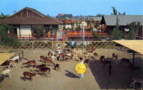 deerpark07-thumb-600x376-80625