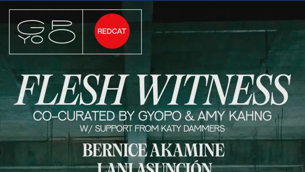 FLESH WITNESS Co-curated by GYOPO and Amy Kahng, event poster with a photo of the group exposition with the artist names on top 