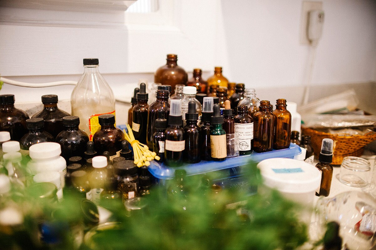 Loba's homemade tinctures | Samanta Helou Hernandez