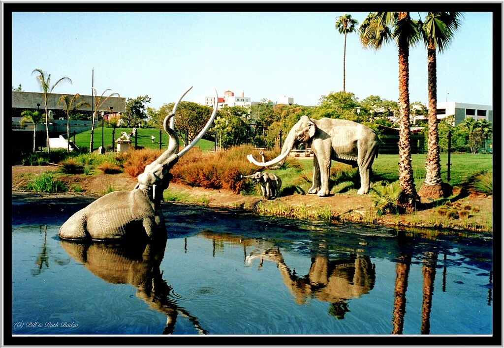 tar-pits-mammoths-5-1-16.jpg
