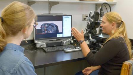 Tiny Teeth, Big Pictures