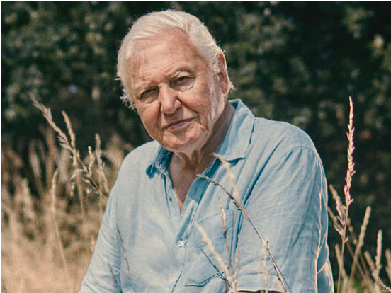 Sir David Attenborough in EXTINCTION: THE FACTS (Courtesy of PBS and Sam Barker)