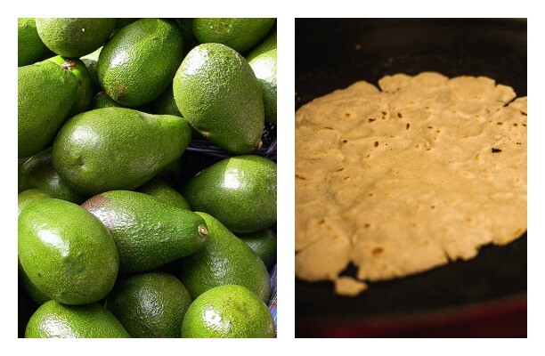 avocadostortillas