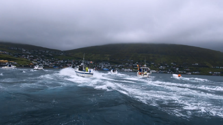 The Islands and The Whales: The Grind