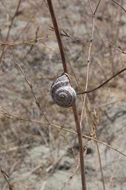 Photo courtesy of Mary Small at the Coastal Conservancy