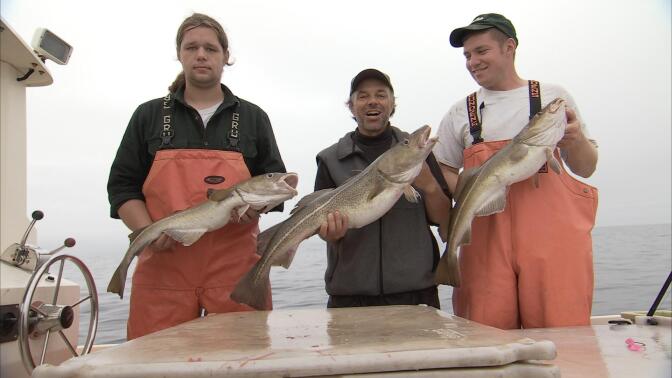 Three fishermen hold up fish in each of their hands.