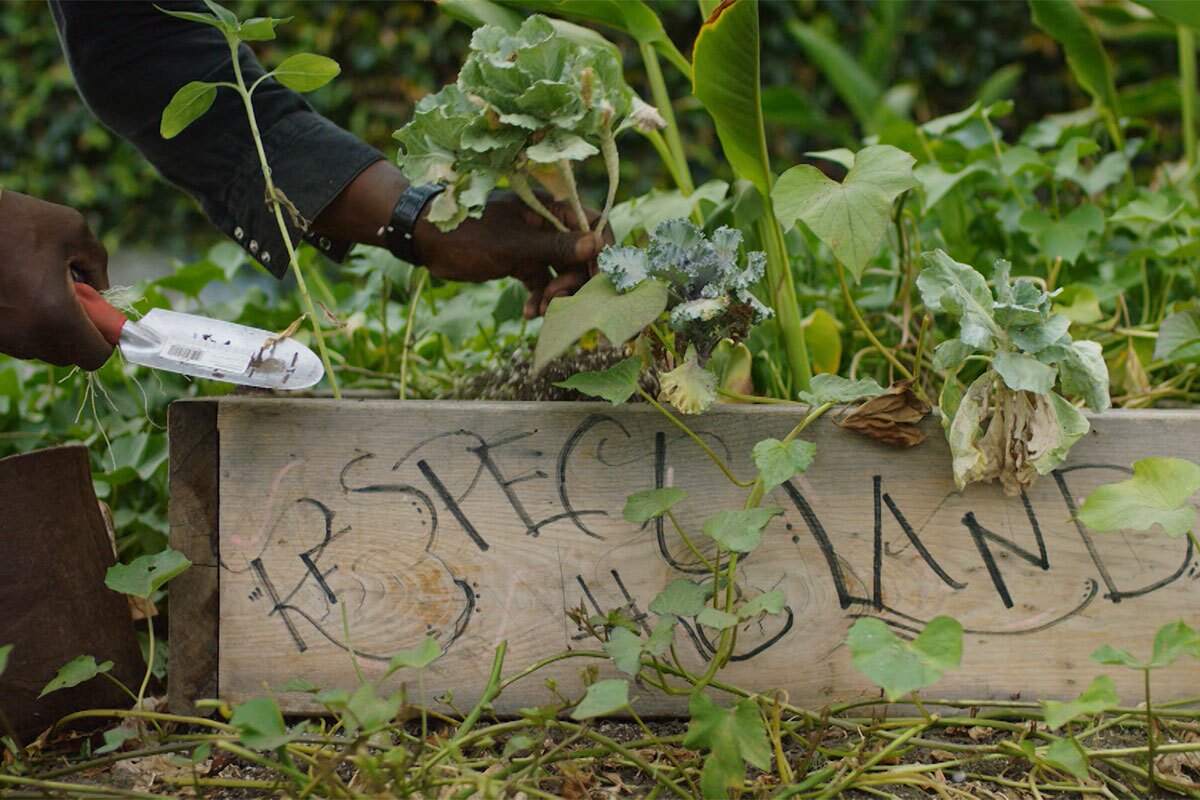 Ron Finley gardening out of a planter labeled "Respect the Land" in his garden. | Still from "Broken Bread"