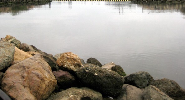 goldenshore