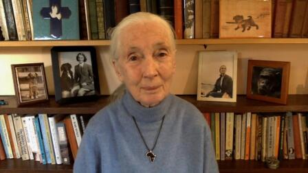 Jane Goodall Talks Environmental Degradation and Pandemics