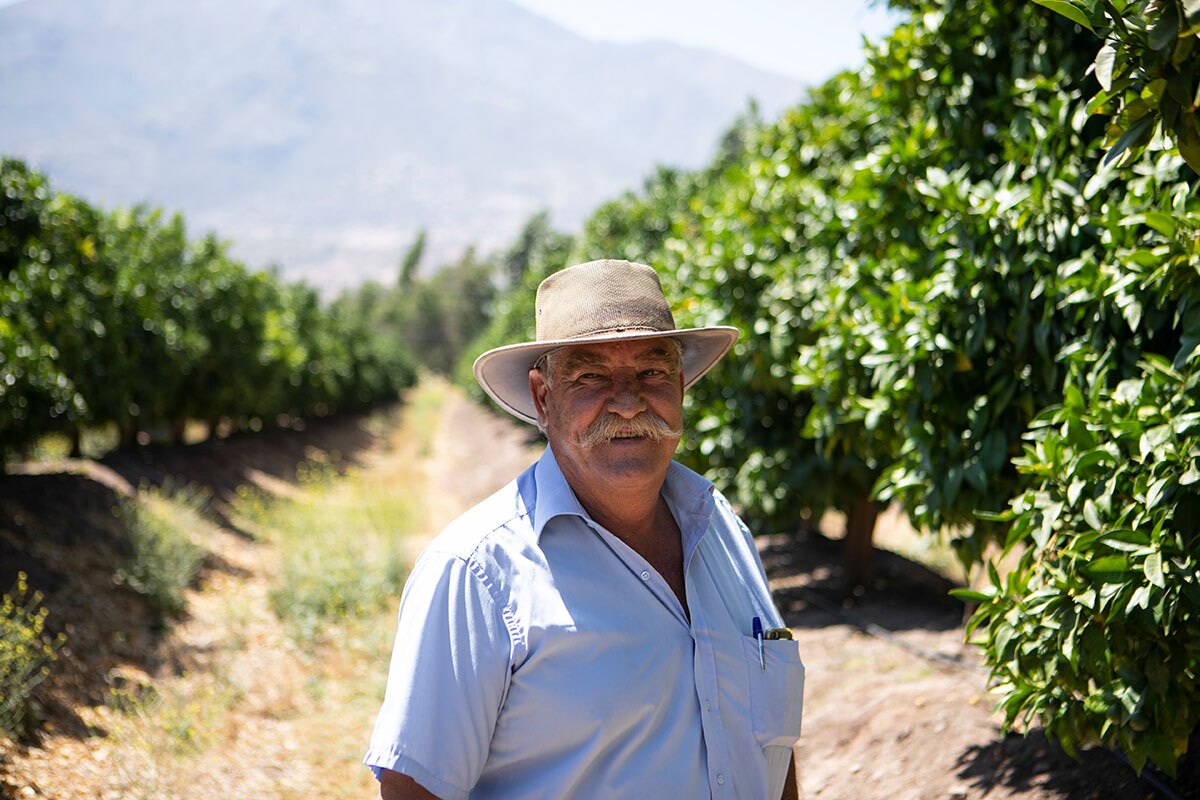 Daniel Bosch, the owner of Agrícola El Peñón, a large avocado plantation in Chile. | Valeria Cardi/Thomson Reuters Foundation
