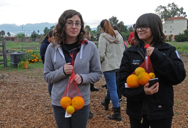 The students were able to take home fruits and vegetables from the Farm