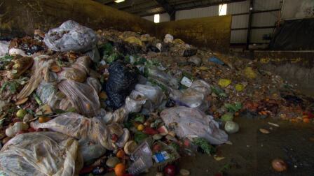 organicwaste1920_1.jpg