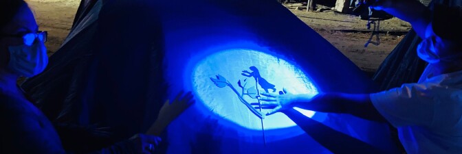 A light shines on blue cloth outlining a shadow puppet and a shining on a leaf-like object. The performance is part of at "Firefly Nights," an in-person COVID-safe experience that falls within the "Rio Reveals" series.