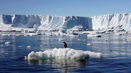 Sea levels could rise three feet by 2100, study projects