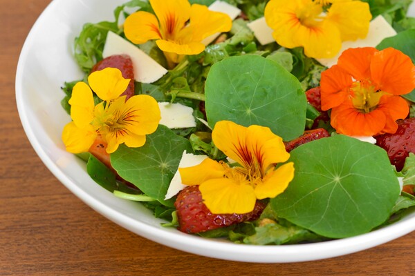 NasturtiumSalad