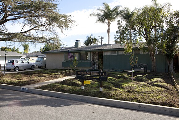 Site 17, Covina, before | Fritz Haeg, "Wildflowering L.A.," 2013-2014. A LAND (Los Angeles Nomadic Division) Exhibition. Image courtesy of Isabel Avila