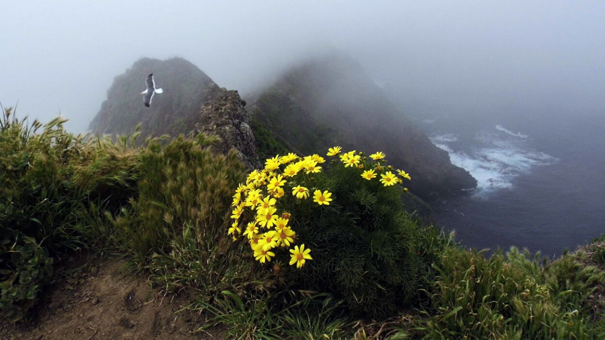 Anacapa Island | Sandi Hemmerlein