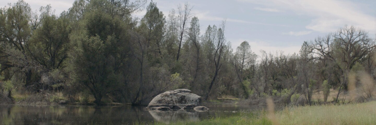 Tending the Wild - River