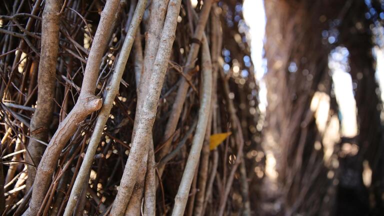 Patrick Dougherty on his work