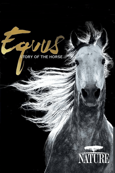 Nature Equus Story of the Horse